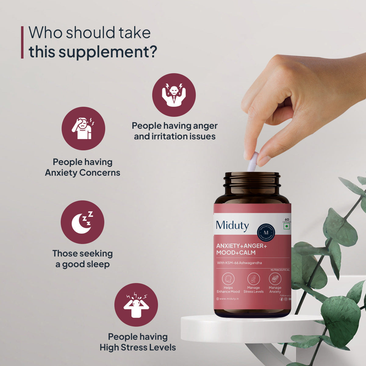 Anxiety+ Anger+ Mood+ Calm - 60 Capsules