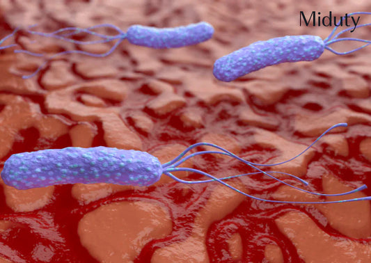 H Pylori: Symptoms, Causes and Natural Treatments