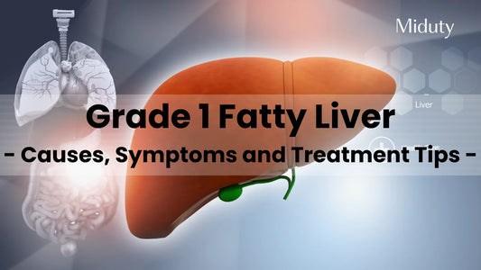 Illustration of Grade 1 fatty liver with surrounding organs