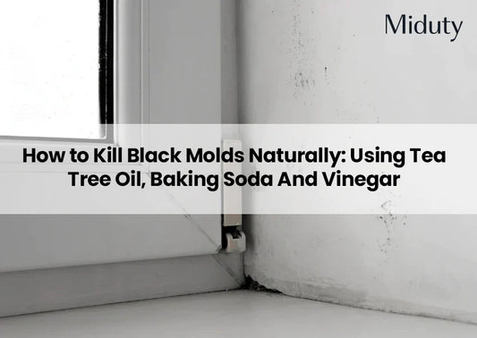 How To Kill Black Molds Using Natural Methods