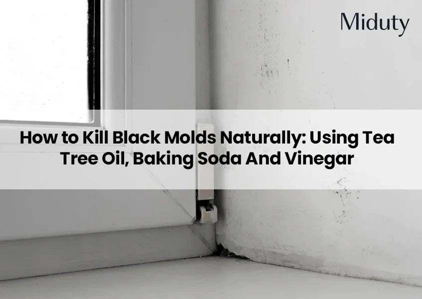 Mold growth in the corner of a window frame with a title overlay about natural mold removal methods.