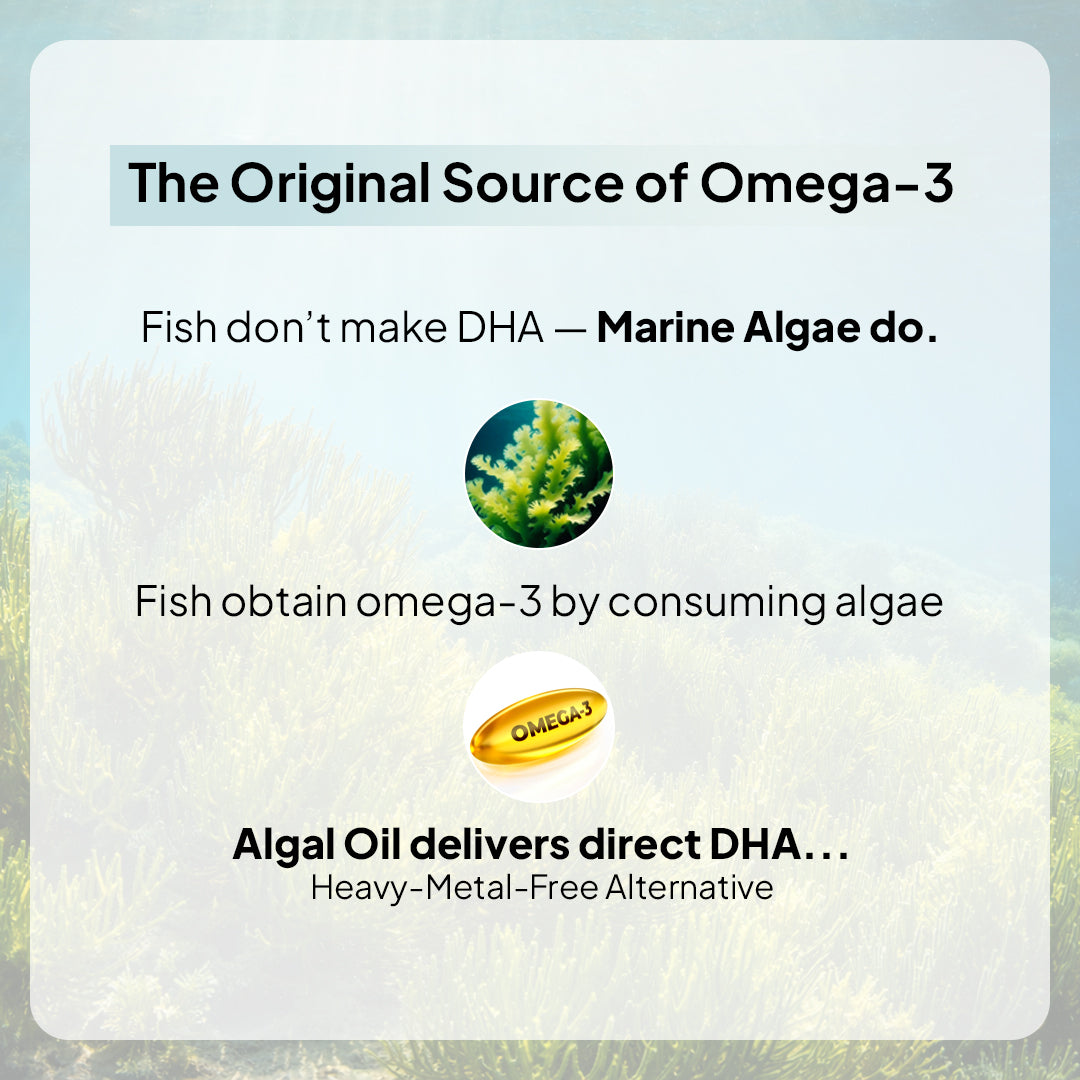 Veg Omega 3