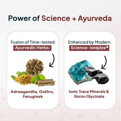 testoUP 5X 60 Capsules