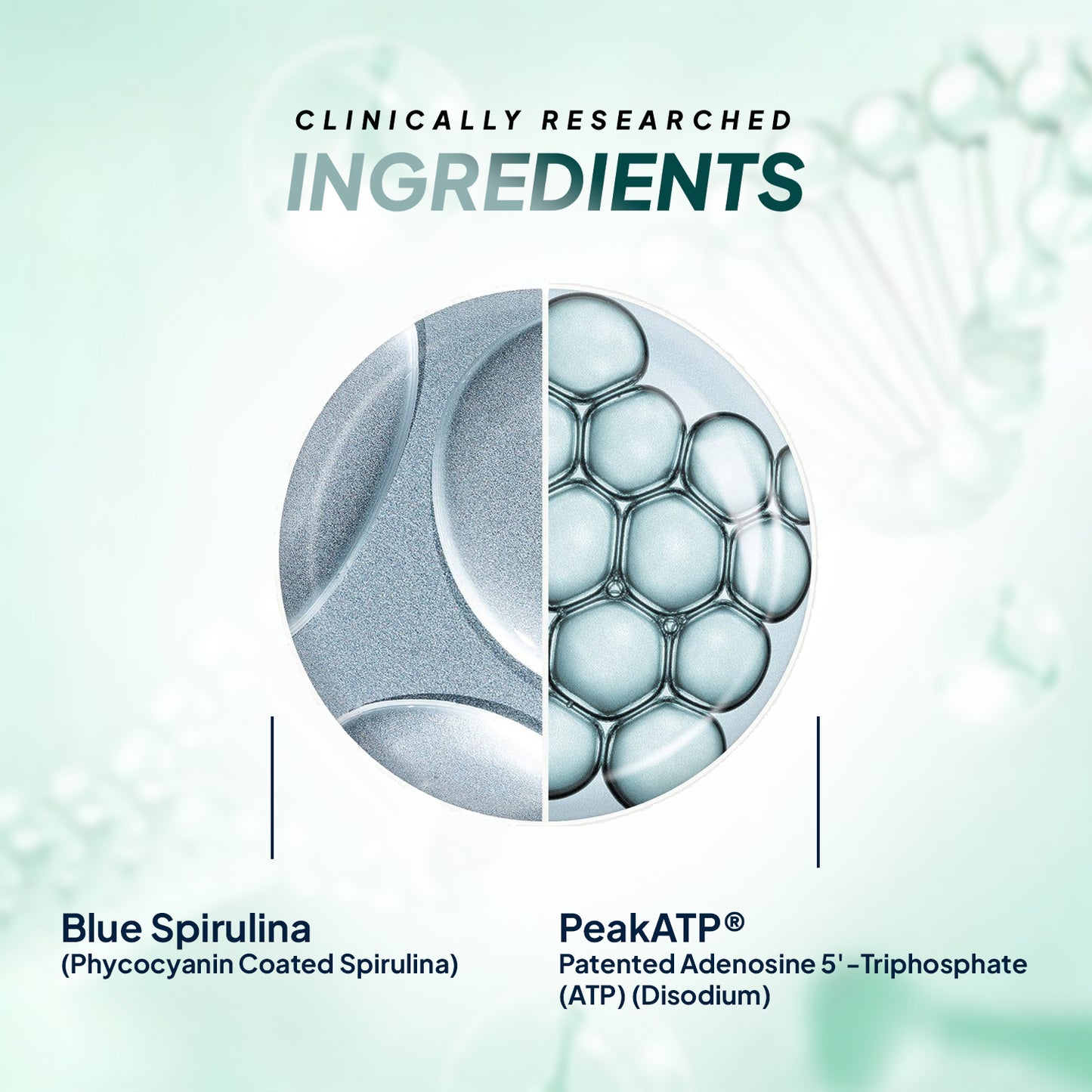 Blue Spirulina + PeakATP®