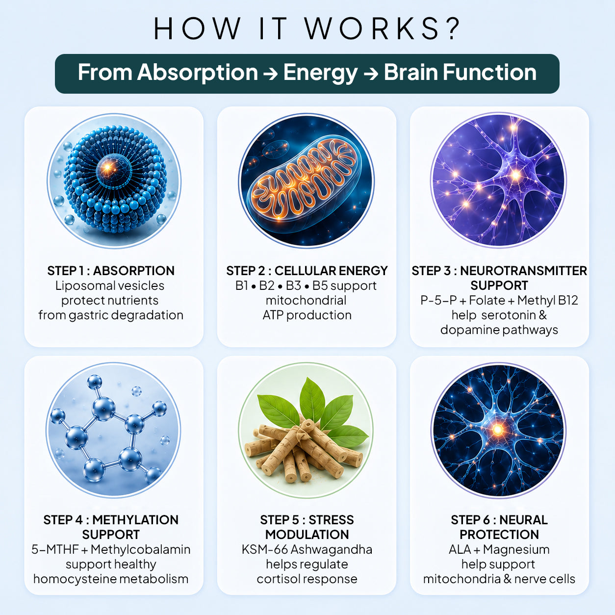 Liposomal B-Complex
