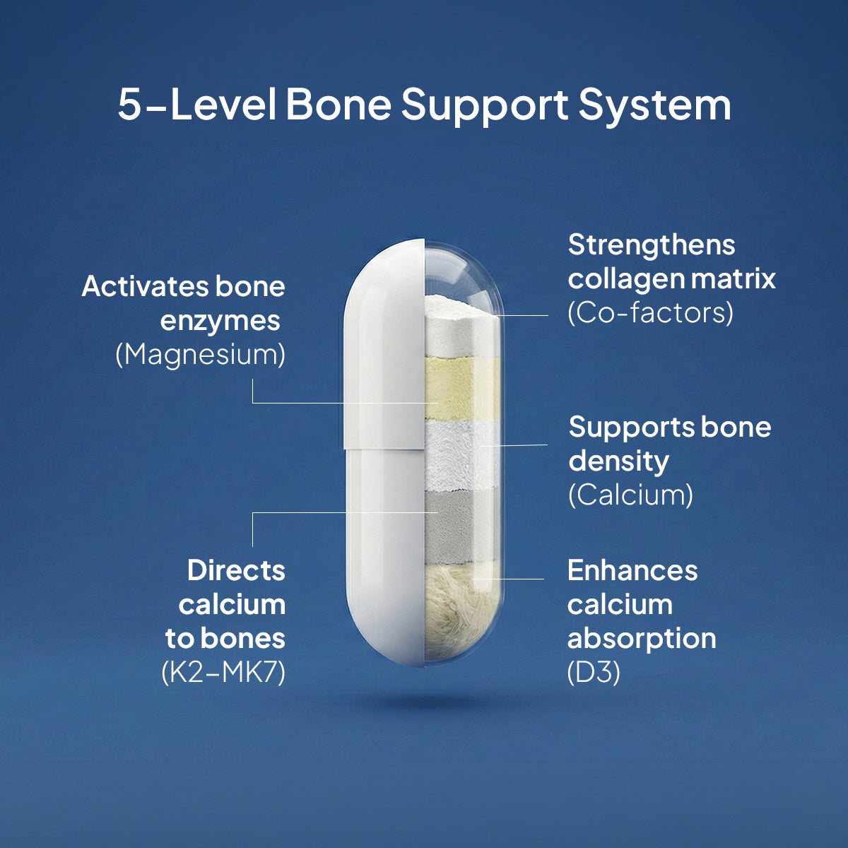 Bone Matrix