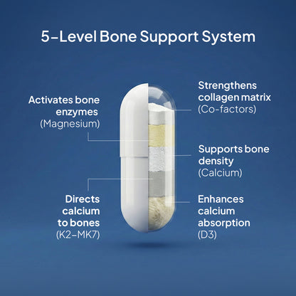 Bone Matrix