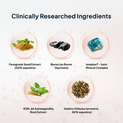 testoUP 5X 60 Capsules