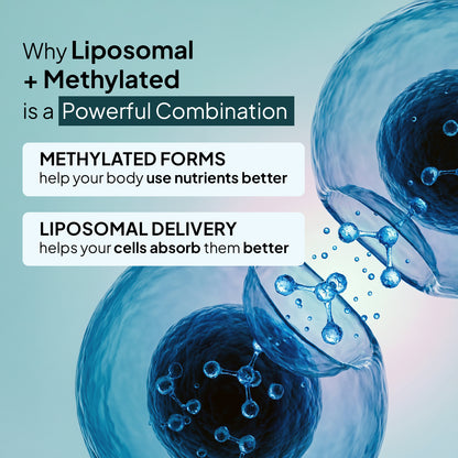 Liposomal B-Complex