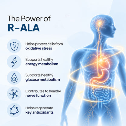 Image 8 of R-ALA 600 MG