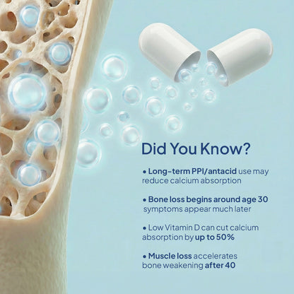 Bone Matrix