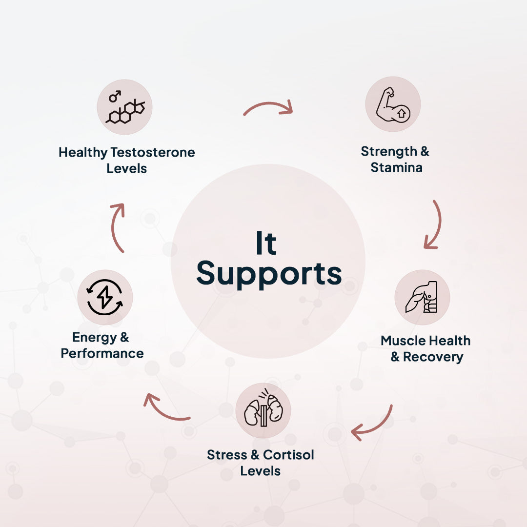 testoUP 5X 60 Capsules