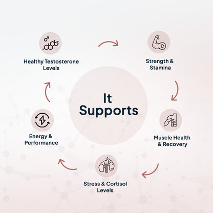 testoUP 5X 60 Capsules
