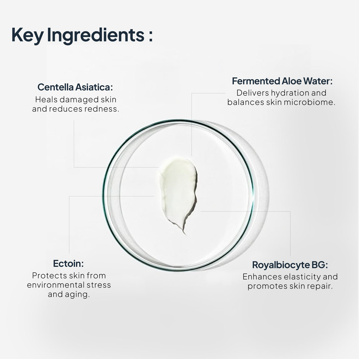 Image 4 of Miduty's EpiRepair Barrier Cream