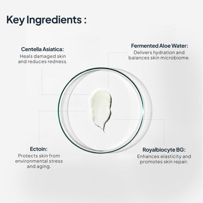 Image 4 of Miduty's EpiRepair Barrier Cream
