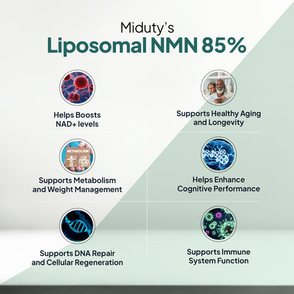 Lipsomal NMN