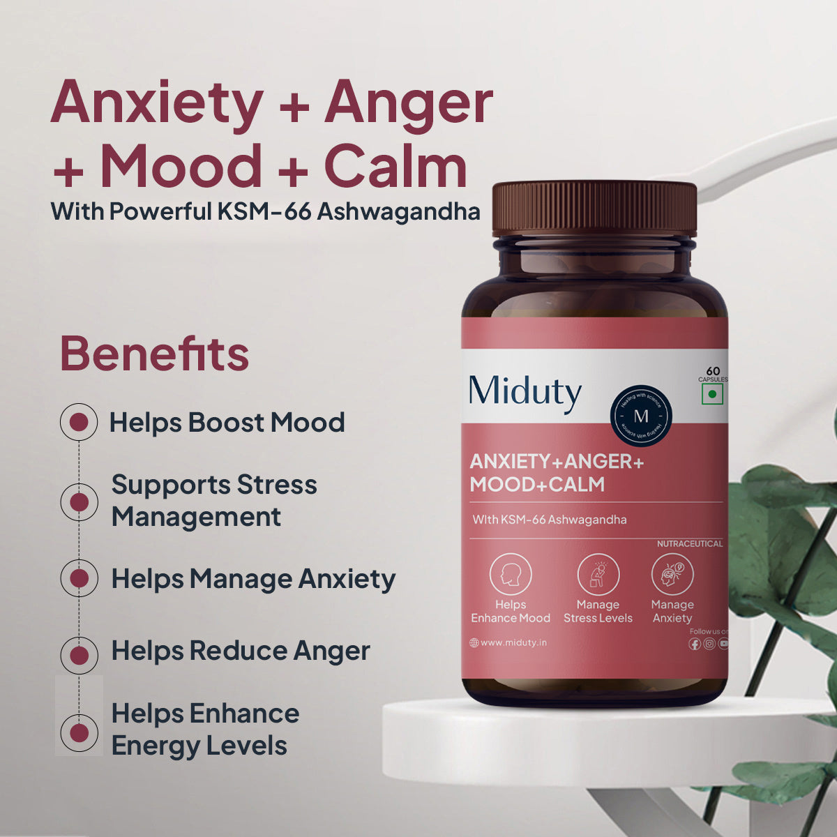 Anxiety+ Anger+ Mood+ Calm