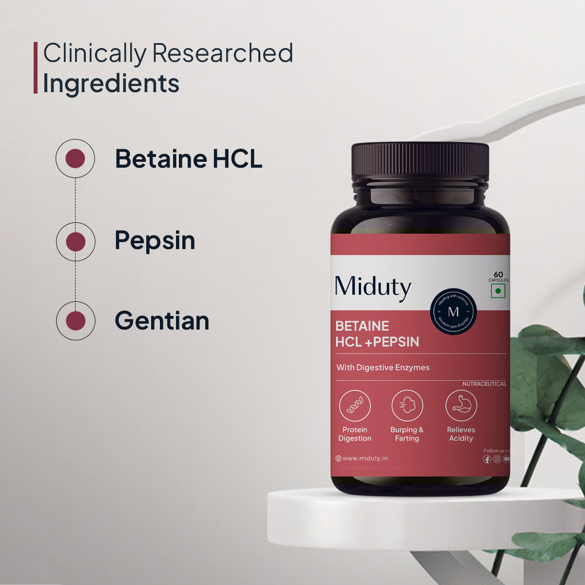 Betaine HCL+ Pepsin