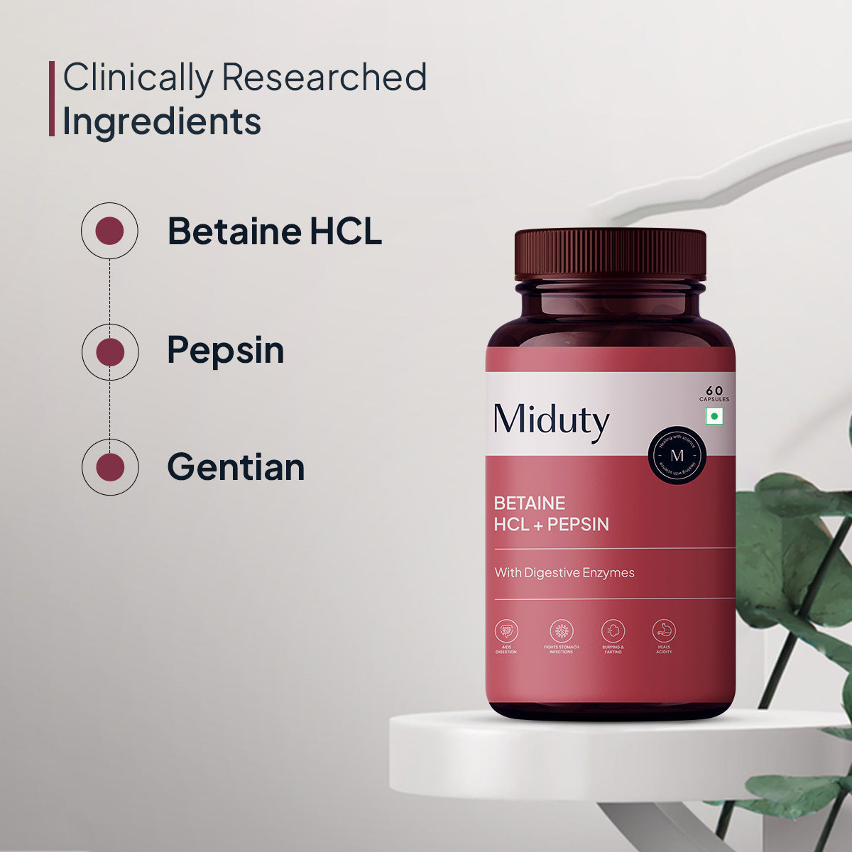 Betaine HCL+ Pepsin - Miduty