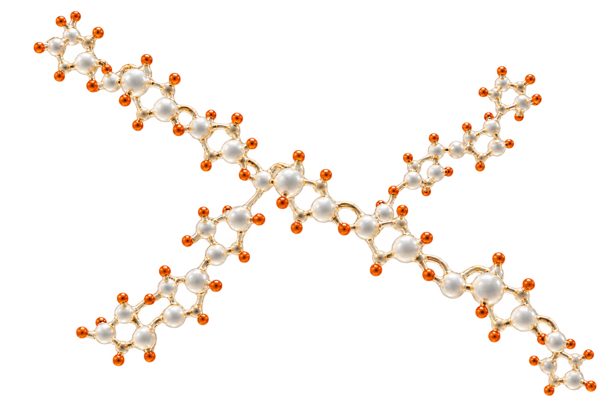 Actinidin at Work