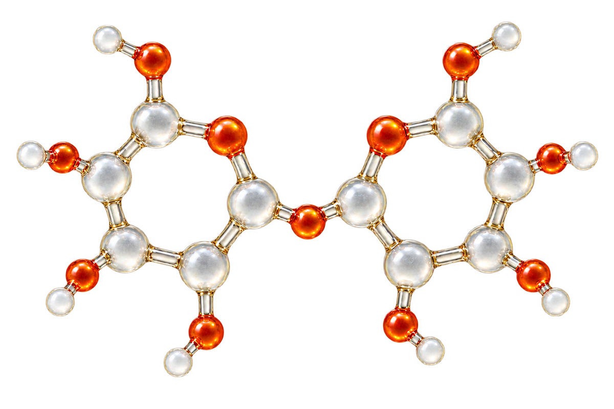 Peptides Break Down Further