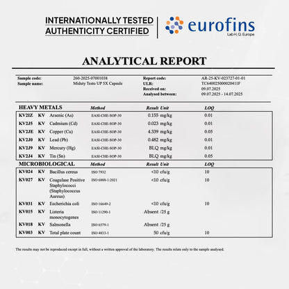 testoUP 5X 60 Capsules
