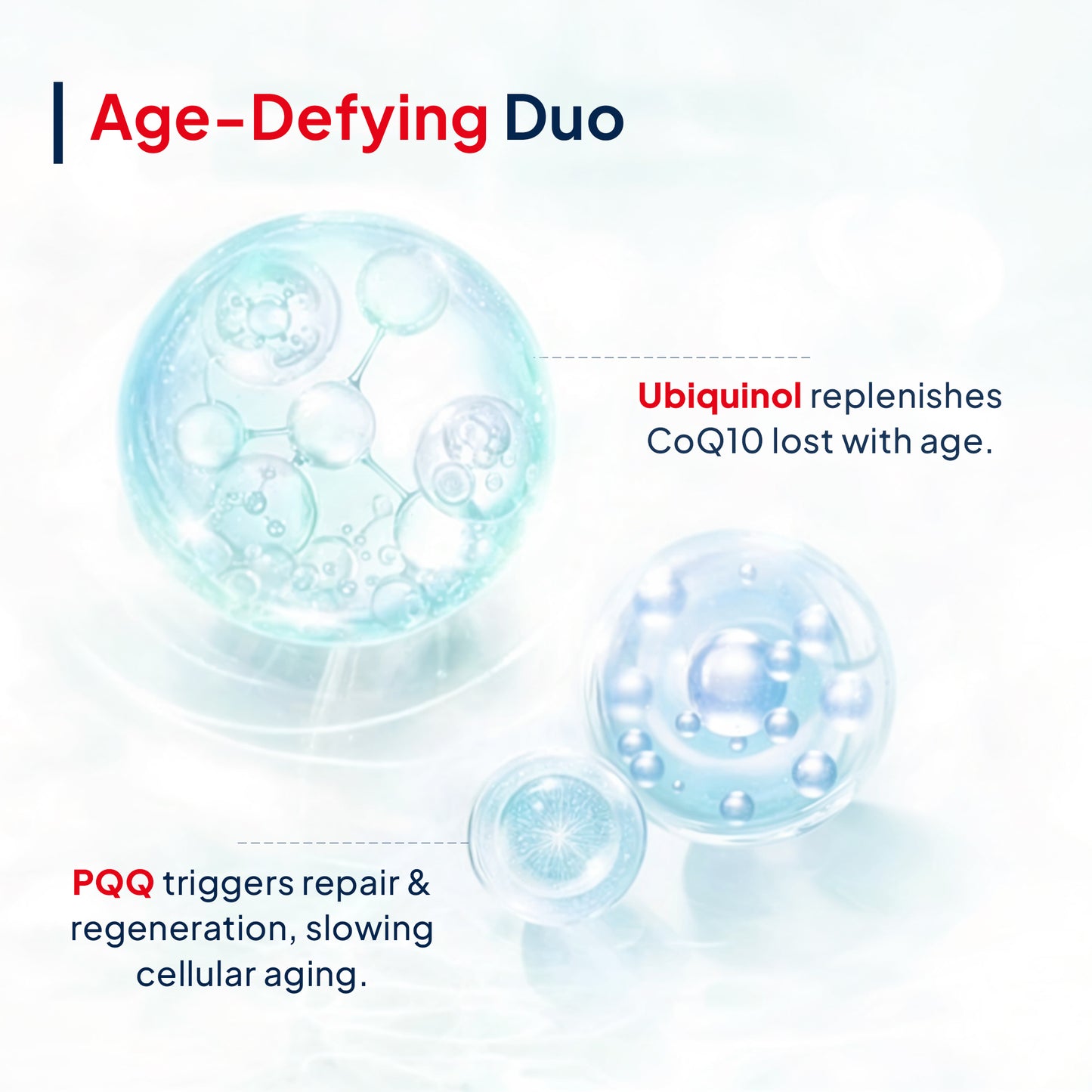 Active CoQ10 + PQQ - 30 Capsules